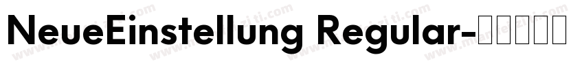 NeueEinstellung Regular字体转换